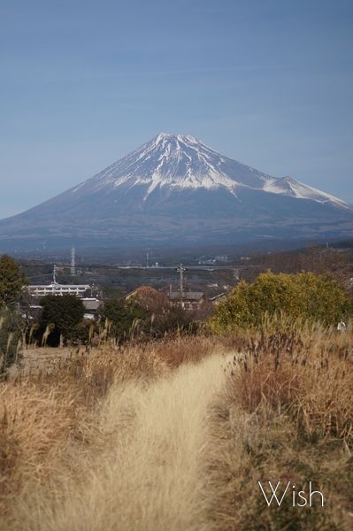 My Wish - Photo Library - | 本日の富士山