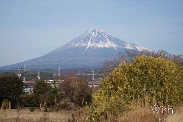 My Wish - Photo Library - | 本日の富士山